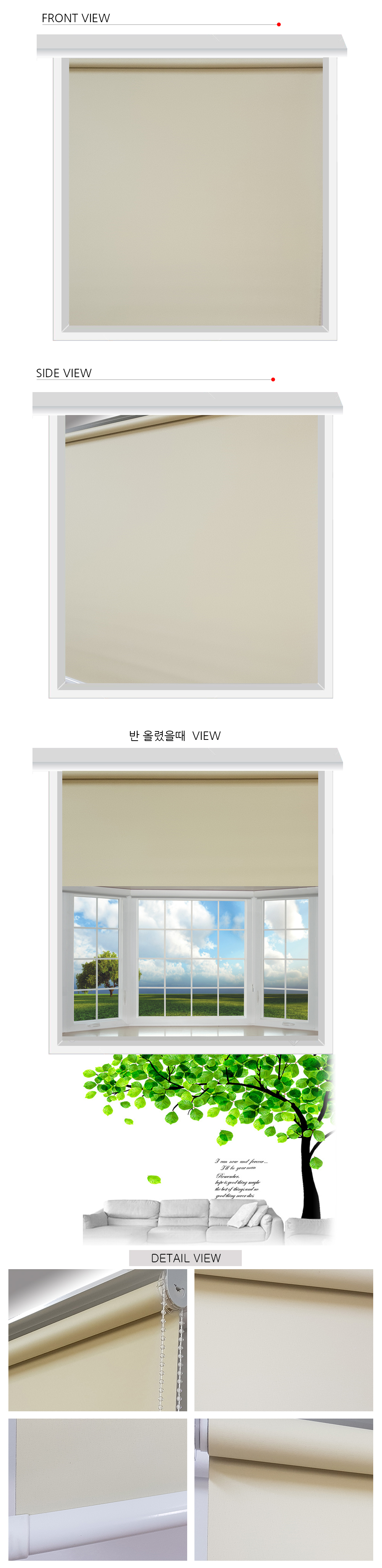 p101.jpg